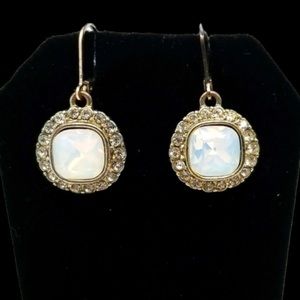 Sparkly Translucent Square in Circle Dangle Drop Earrings Pierced Ear